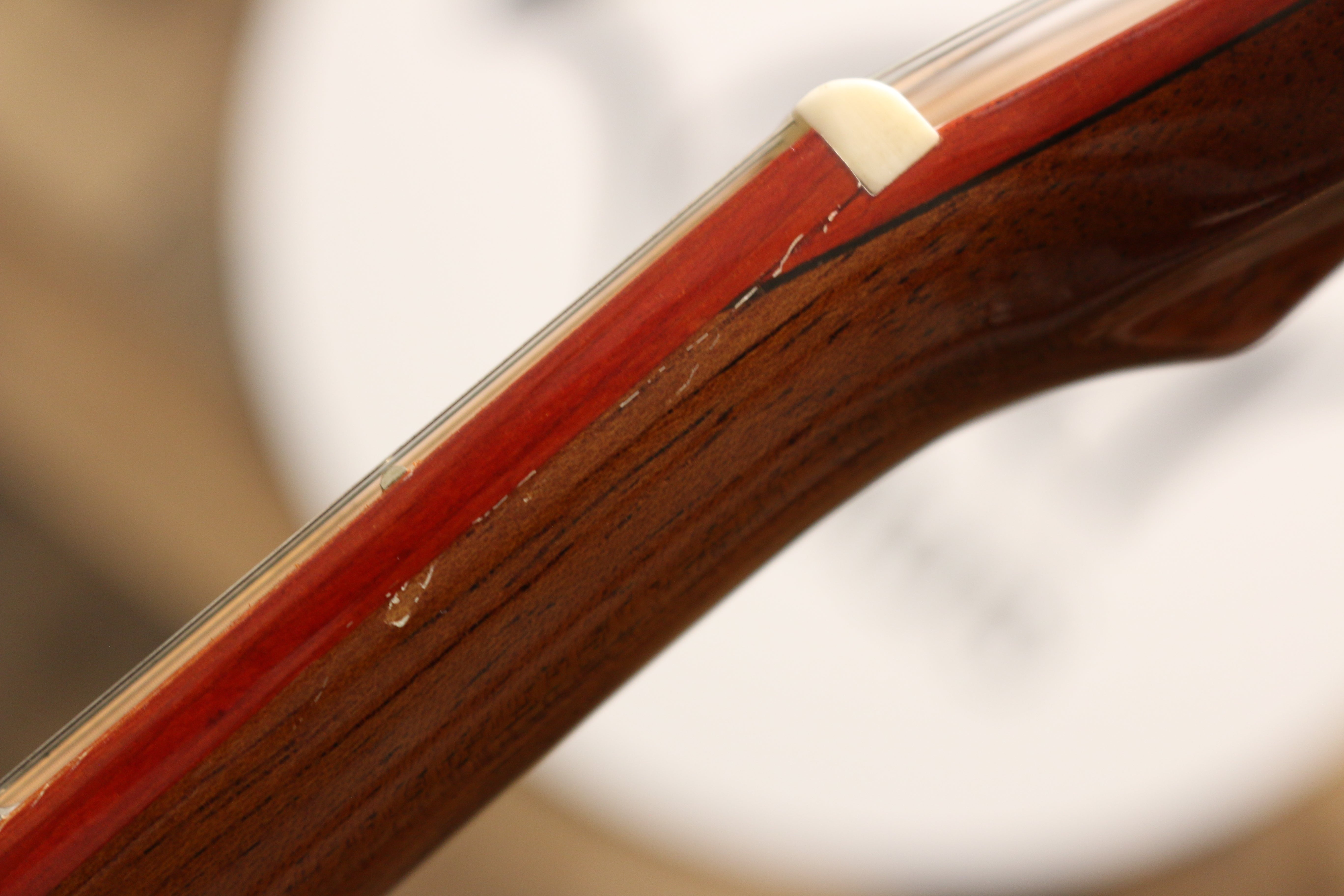 Zaar with Scars - Z420E (#243)