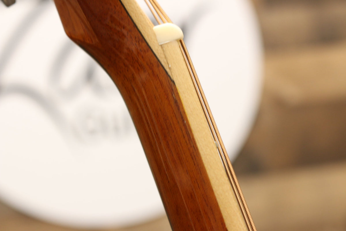 Zaar with Scars - Z540E (046) - Zaar Guitars